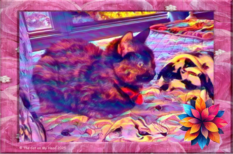 A tortoise shell cat in an art rendering created using Crazy Waves from Painnt and framed in pink.