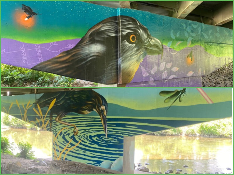 Periwinkle Stinky 300th Adventure A collage of two murals of birds on the Roanoke River greenway.