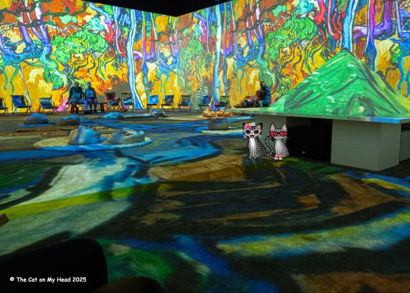 Van Gogh Experience Two cartoon tabby cats in one of the projected scenes from Van Gogh Immersive Experience.