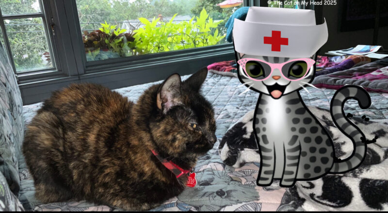 Pet Promise Pledge Tortoise shell cat and a cartoon tabby cat in a nurse's cap.