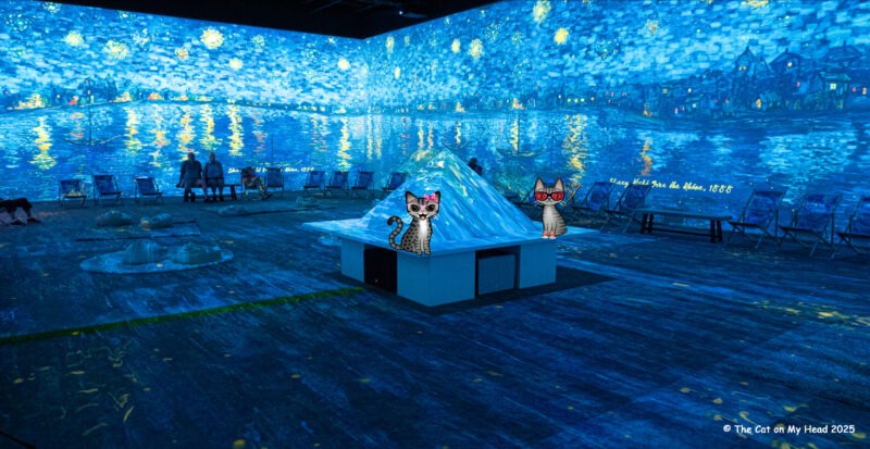 Van Gogh Experience Two cartoon tabby cats in one of the projected scenes from Van Gogh Immersive Experience.
