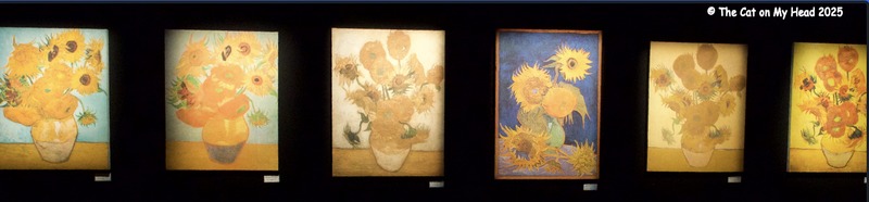 Van Gogh Experience Six of Van Gogh's sunflower paintings.
