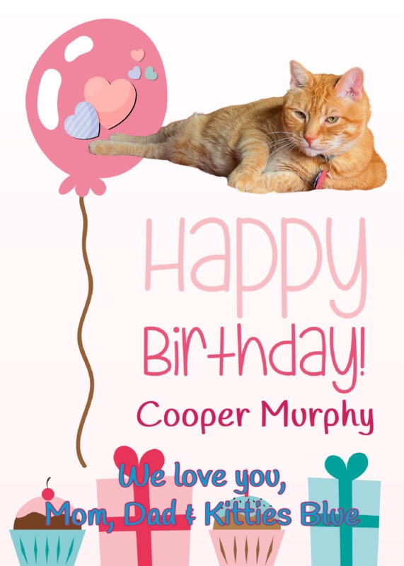 Birthday card for an orange tabby cat.