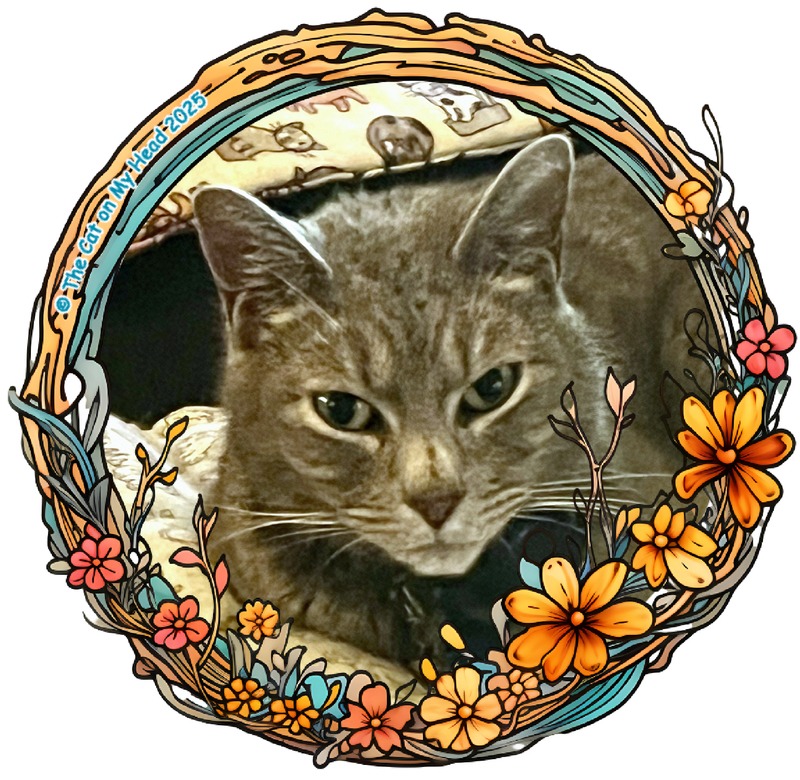 Grey tabby cat with a boo-boo on his nose in a selfie surrounded by autumn flowers.