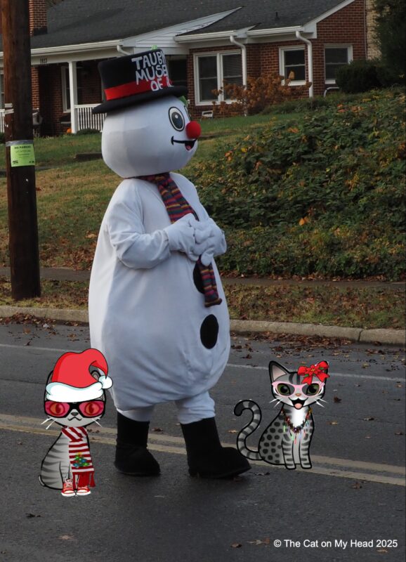 Grandin Village Holiday Children's Parade Two cartoon tabby cats dressed for Christmas walking with a person costumed as a snowman and taking part in the Grandin Village* Holiday Children's Parade, Roanoke, VA.