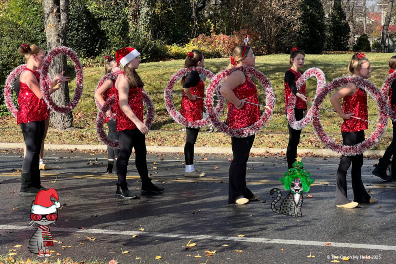 Grandin Village Holiday Children's Parade Two cartoon tabby cats dressed for Christmas and taking part in the Grandin Village* Holiday Children's Parade, Roanoke, VA, with a group of baton twirlers.