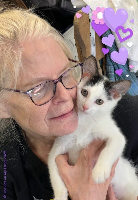 mom kitten usie An usie of a blonde lady (mom) with glasses and a white and black kitten.