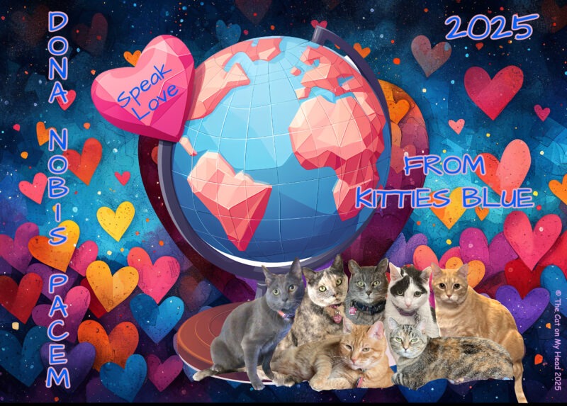 The Cat on My Head's Kitties Blue join the 2025 Blog 4 Peace, with the theme, Speak Love.