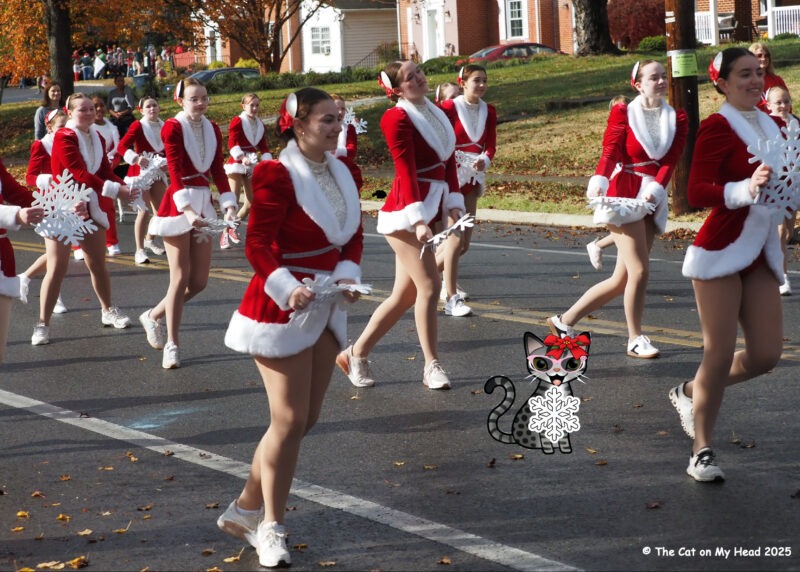 Grandin Village Holiday Children's Parade A cartoon tabby cat dressed for Christmas and taking part in the Grandin Village* Holiday Children's Parade, Roanoke, VA, with a dance group in white fur trimmed costumes and carrying snow flakes.