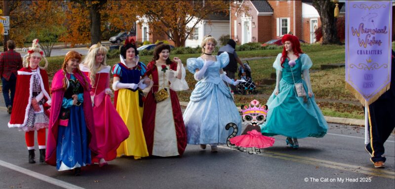 Grandin Village Holiday Children's Parade A cartoon tabby cat dressed as a princess and walking with Disney princesses and taking part in the Grandin Village* Holiday Children's Parade, Roanoke, VA.