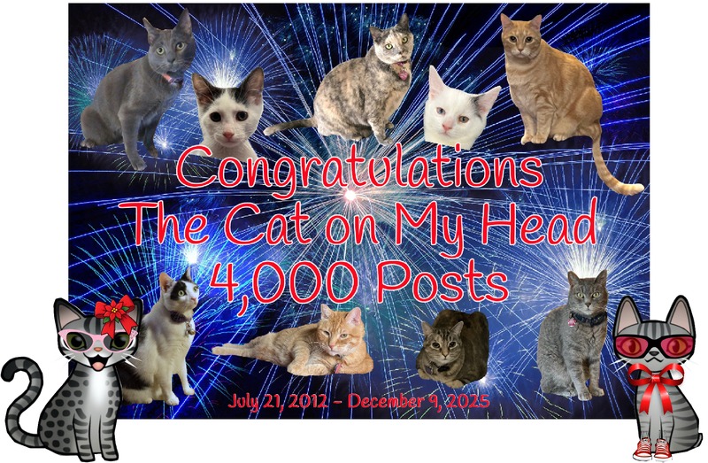4000th post Stinky Periwinkle Nine cats and two cartoon tabby cats celebrate the 4,000th post of The Cat on My Head.