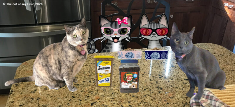 4000th post Stinky Periwinkle Two cartoon tabby cats, a grey cat and a dilute tortie cat having snack at a kitchen counter.