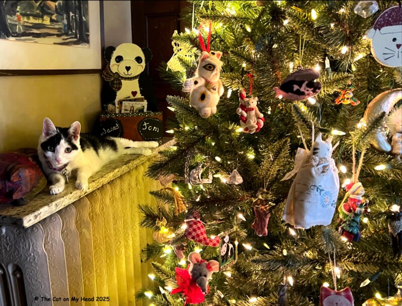 kittens winter art Tuxie cat on a radiator next to a lit Christmas tree with lots of cat ornaments.