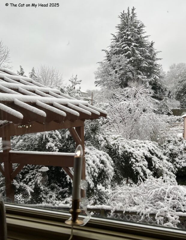 kittens winter art. A winter scene of snow-covered trees and a pergola.