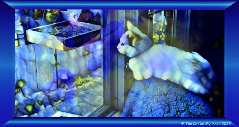 A white and calico kitten waiting on the back of a chair for birds to appear outside the window in an art photo with morning glories.
