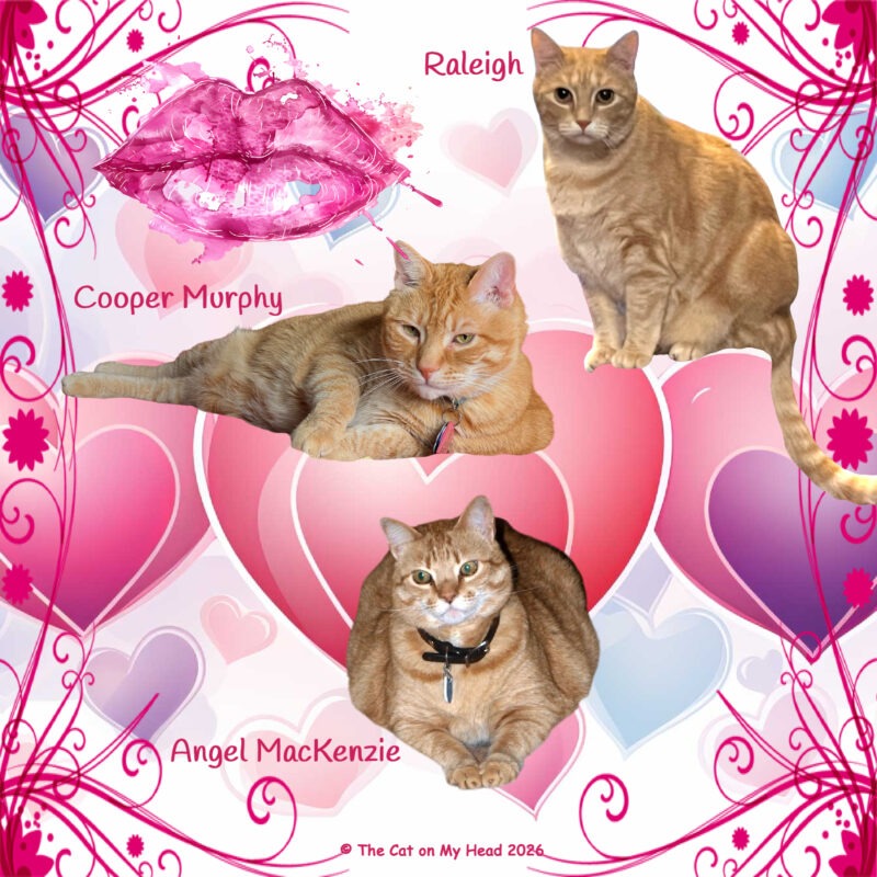 love ginger cats A graphic showing love for three ginger cats with hearts and kissing lips.