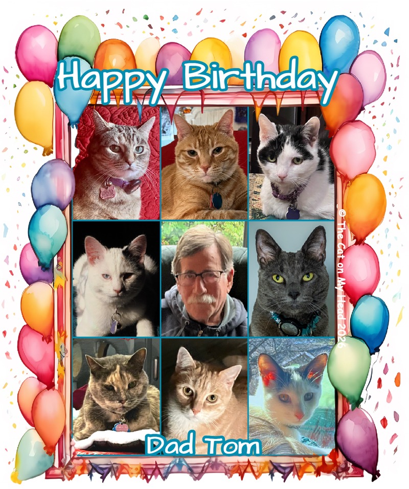 birthday fill-ins A collage of eight cats and their dad with the words, "Happy Birthday Dad Tom"