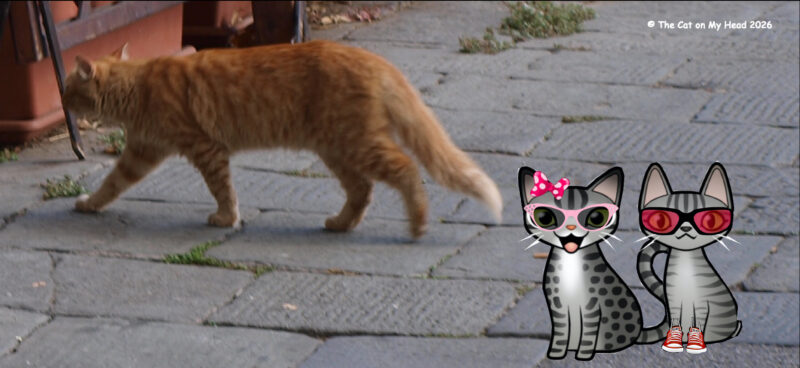 Periwinkle Stinky Giornata Nazionale del Gatto:Ginger tabby cat with two cartoon tabby cats.