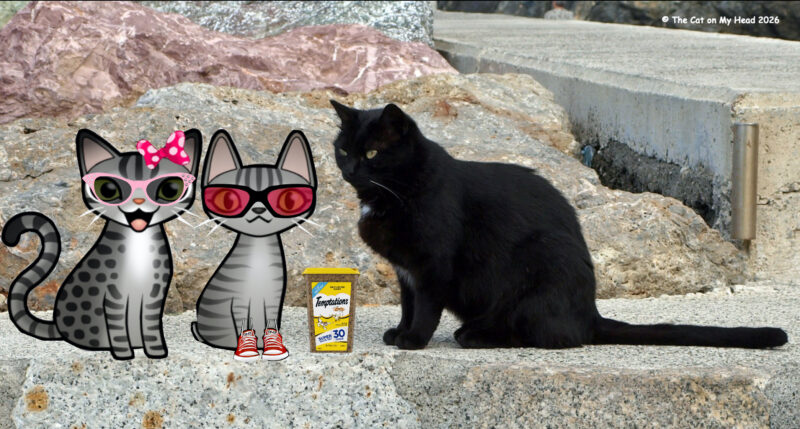 Periwinkle Stinky Giornata Nazionale del Gatto: Black cat with two cartoon tabby cats and a container of Temptations cat treats.