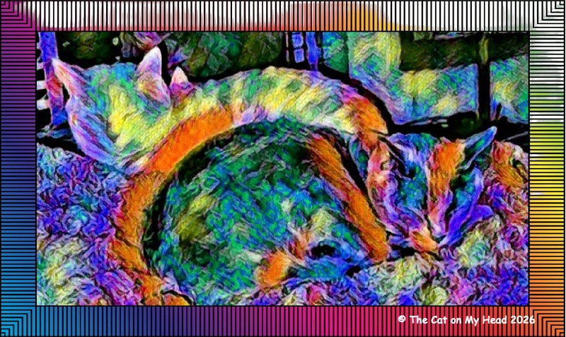 TWO COLORFUL napping CATS COLORFUL ART OF TWO NAPPING CATS.