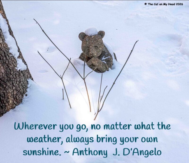 inseparable spark A panda statue half buried in the snow with the following quote from Anthony J. D'Angelo, "Wherever you go, no matter what the weather, always bring your own sunshine."