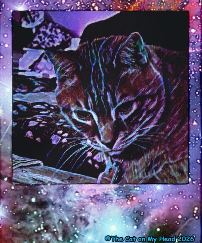 A ginger tabby cat (Cooper Murphy) has turned dark and mysterious for The Caturday Art blog hop.
