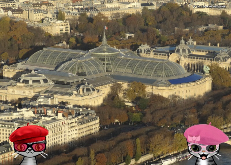 two cartoon tabby cats in berets overlooking the Grand Palais, Paris.