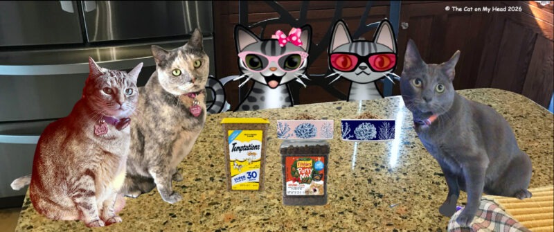 Three cats with two cartoon tabby cats having a snack at a kitchen island. 