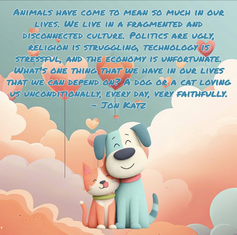 sibling siesta A cartoon dog and cat hugging on a background of peach clouds with the following quote from Jon Katz, "Animals have come to mean so much in our lives. We live in a fragmented and disconnected culture. Politics are ugly, religion is struggling, technology is stressful, and the economy is unfortunate. What's one thing that we have in our lives that we can depend on? A dog or a cat loving us unconditionally, every day, very faithfully."