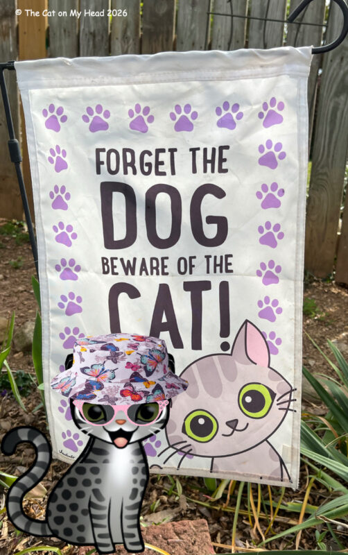 A cartoon tabby cat in a butterfly hat in front of a flag with a cat face and the saying, "Forget the dog beware of the cat!"