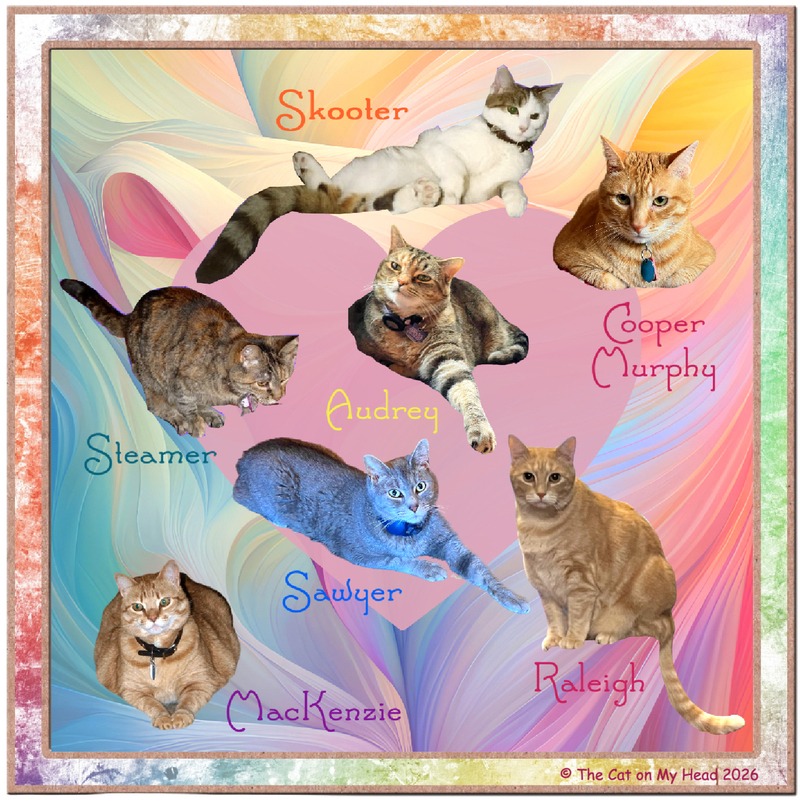 Collage of seven tabby cats for National Tabby Cat Day.
