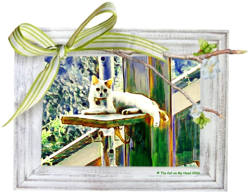 catio kitten Art rendering of a photo of a white and calico kitten on a catio framed in white with a green and white striped bow.