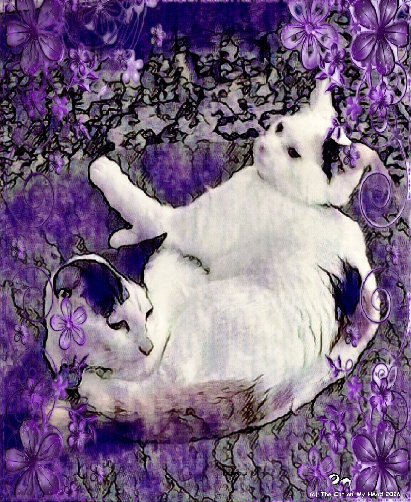 two-headed purple kitten Two kittens curled up together and looking like one kitten with two heads in a purple, black and white art creation.