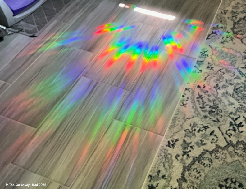 rainbow art Rainbow on a floor caused by a snowflake-shaped, prism decal.