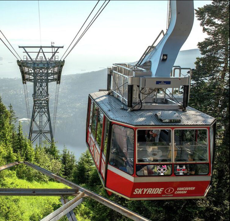 Two cartoon tabby cats on a Skyride tram at Grouse Mountain in Vancouver, British Columbia.