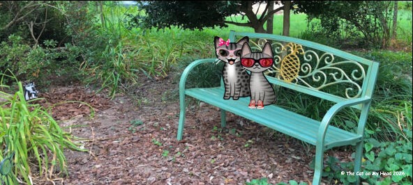 Two cartoon tabby cats sitting on a green bench with gold pineapple in a garden on World Pet Memorial Day 2026.