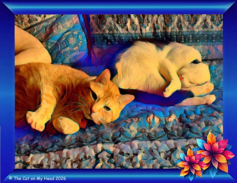 To of the Kitties Blue boys, an orange tabby and a white and black kitten, are the subject of Caturday Art.