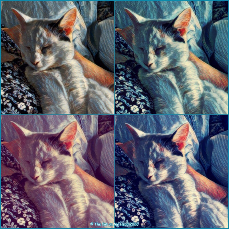A white and calico kitten named Tali in an art collage created with the Spectral effect from Painnt.