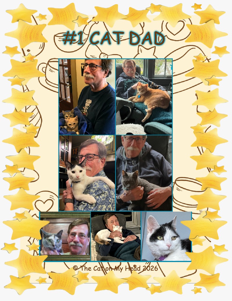 Kitties Blue honor dad The Cat on My Head's Kitties Blue honor their dad on Father's Day with a collage of usies that include them and their dad.