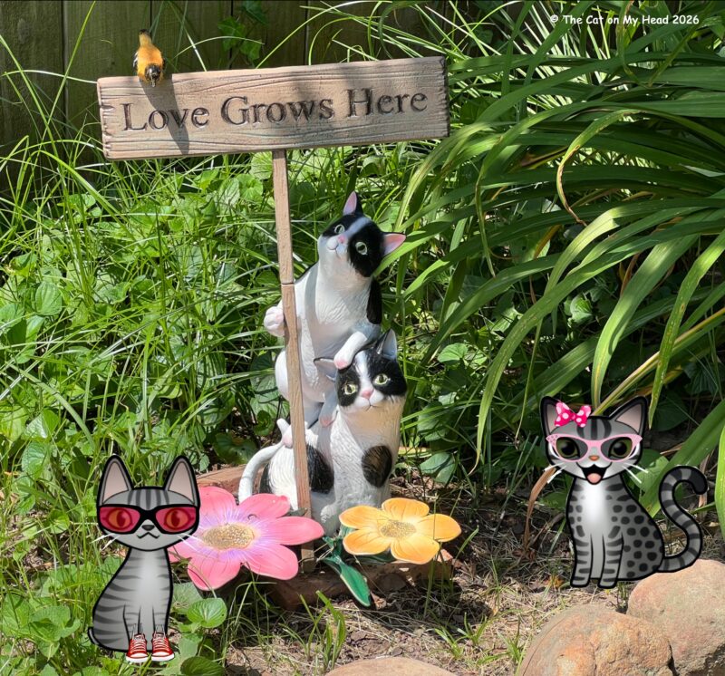 Two cartoon tabby cats in a garden with a statue of two tuxedo cats, pink and yellow flowers and a sign reading, "Love Grows Here," with a bird sitting on top.