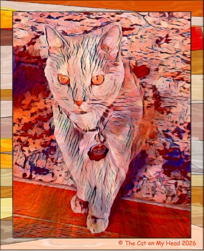 Art rendering of a dilute tortie cat in shades of orange and a shades of orange geometric shapes.