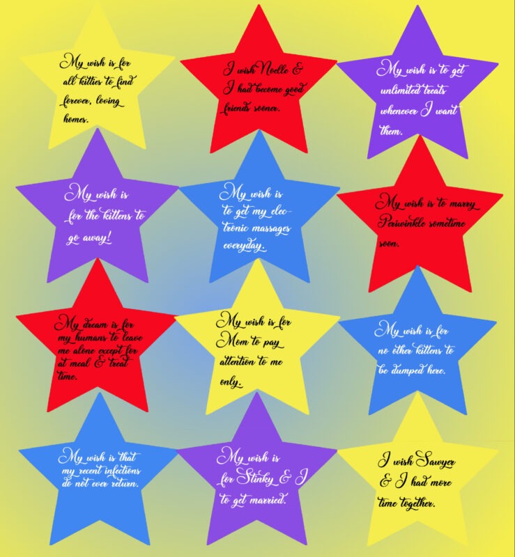A graphic with twelve stars contains tanzaku to celebrate Tanabata.