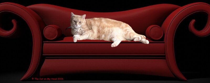A peach and cream tabby feline lounging on a red couch and looking regal.