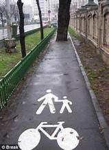 birds beetles Walking/Biking path with a tree growing in the middle.