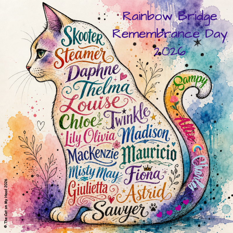 A Rainbow colored graphic of a cat for Rainbow Bridge Remembrance Day with all the names of Kitties Blue angels and their significant others. 