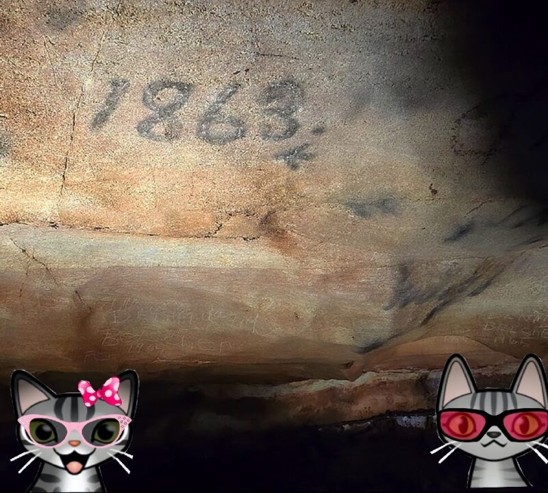 Two cartoon tabby cats at the Lost Sea Adventure in Sweetwater, TN.