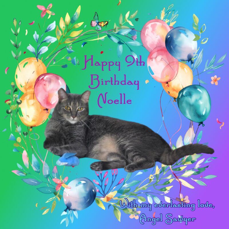 Noelle birthday Birthday card for a grey tabby cat named Noelle with her photo.